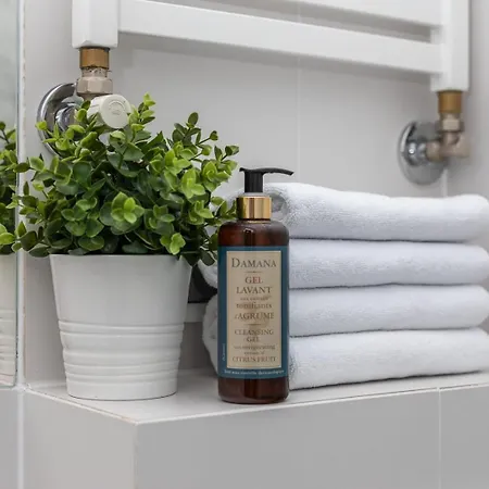 Glam Mila With Balcony In By Renters